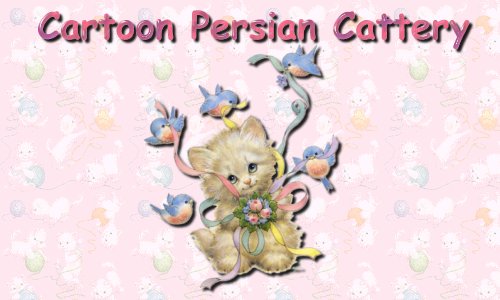 persian cats and kittens for sale Persian Kittens
